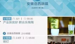 岳西最新爆料新闻,揭秘神秘事件背后的惊人真相